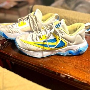 Nike Giannis Basketball Shoes